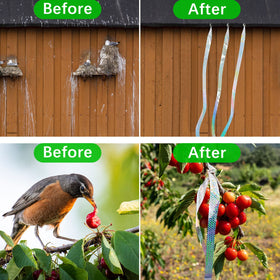 Benasan bird deterrent ribbon decorates fence while guiding birds away.