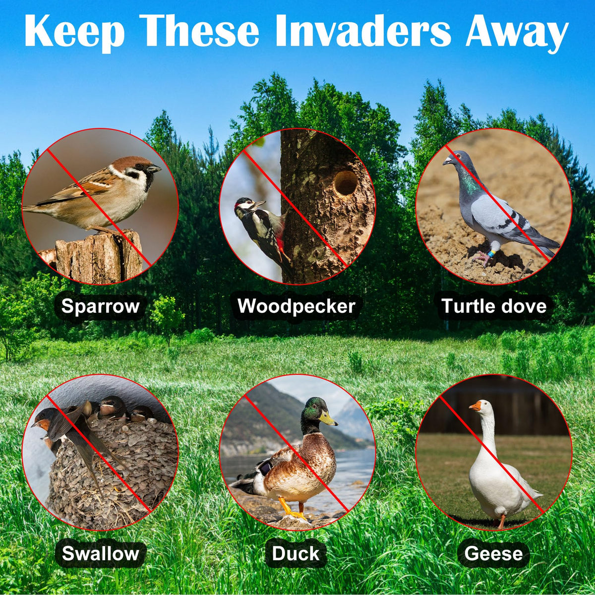 Benasan bird scare ribbon deck-fence-usage adds visible deterrence for gardens and homes.