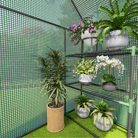 Benass walk-in design supports seed germination and plant propagation.