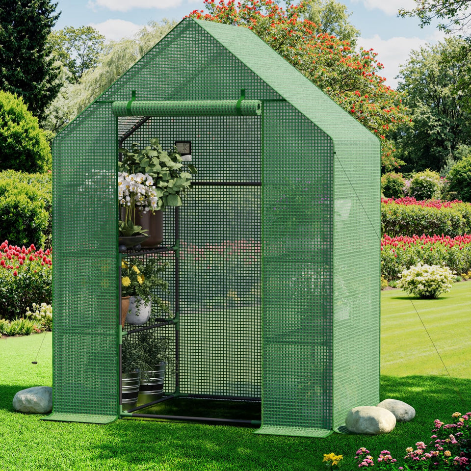 Benass walk-in greenhouse with 3-tier, 4-shelf design for organized seed starting.