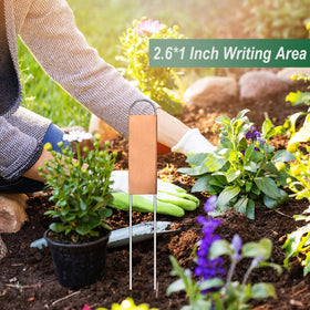 Bendical outdoor plant labels ideal for seedlings and garden beds