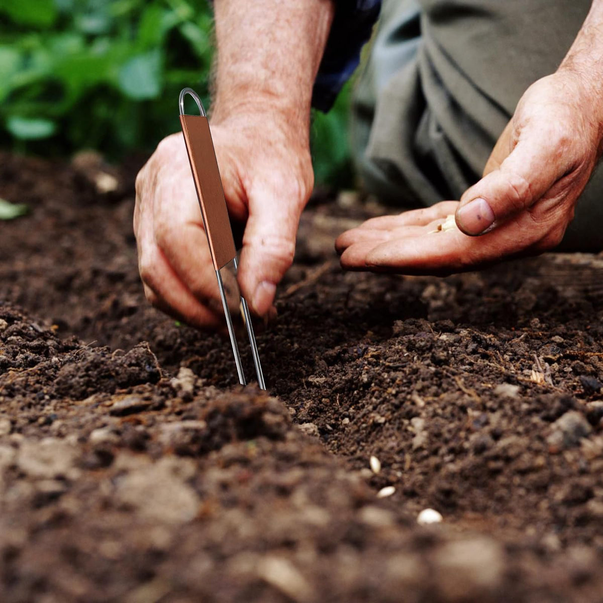 Bendical plant labels for flowers and herbs help organize planting projects
