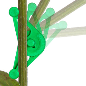 Bendies branch spacing in grow tent demonstrates improved airflow and light exposure.
