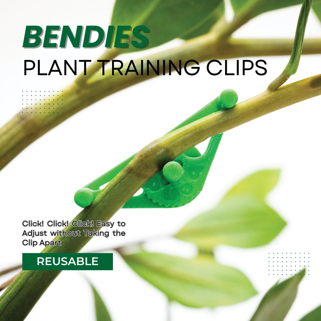 Bendies LST clips help growers manage canopy height and shape.