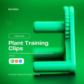 Bendies low-stress training clips flatten canopies for even growth.