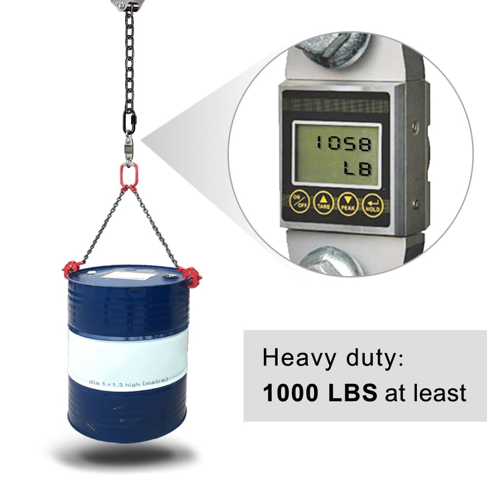BeneLabel 81-inch chain assembly offers balanced height for versatile hanging.