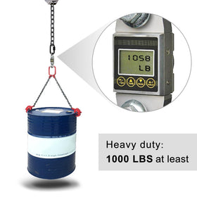 BeneLabel 81-inch chain assembly offers balanced height for versatile hanging.