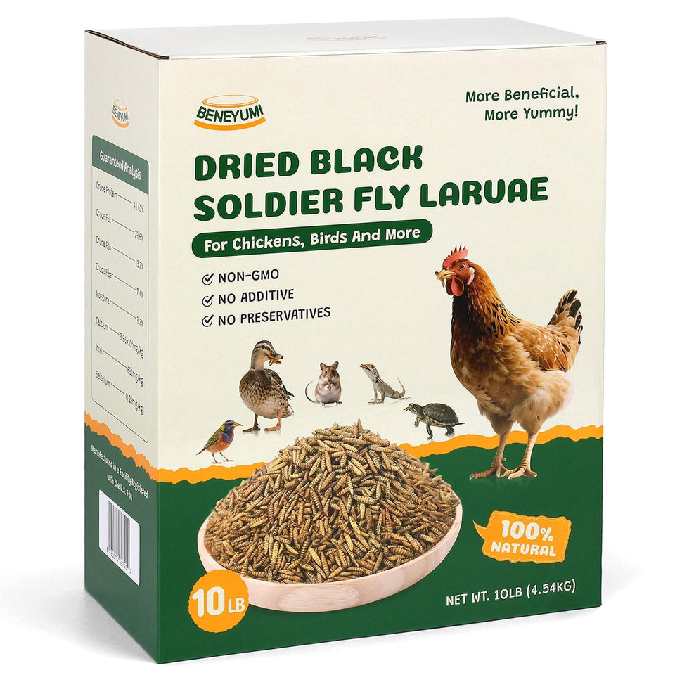BENEYUMI dried BSF larvae bag shows high-protein poultry treat