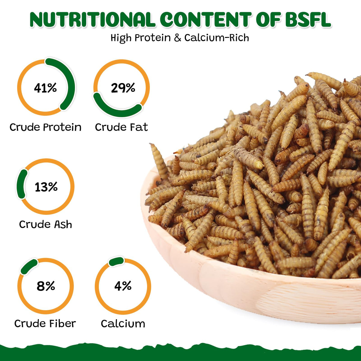 Close-up of dried BSF larvae highlighting protein and fat content
