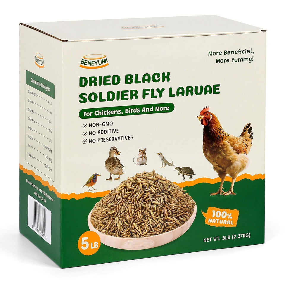Beneyumi dried BSF larvae packaging in a resealable pouch preserves freshness.