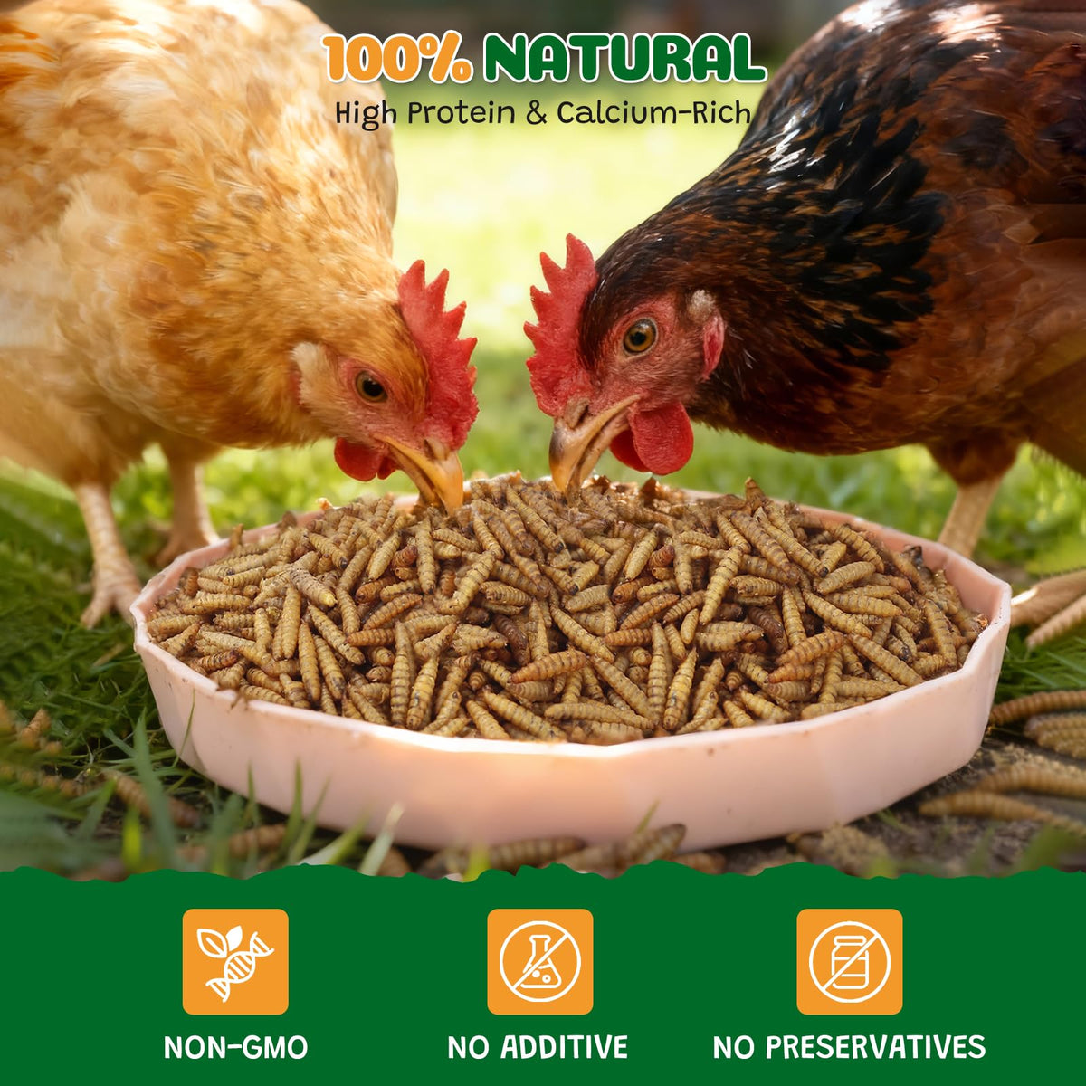 High-protein, calcium-rich larvae provide nutrient-dense nutrition