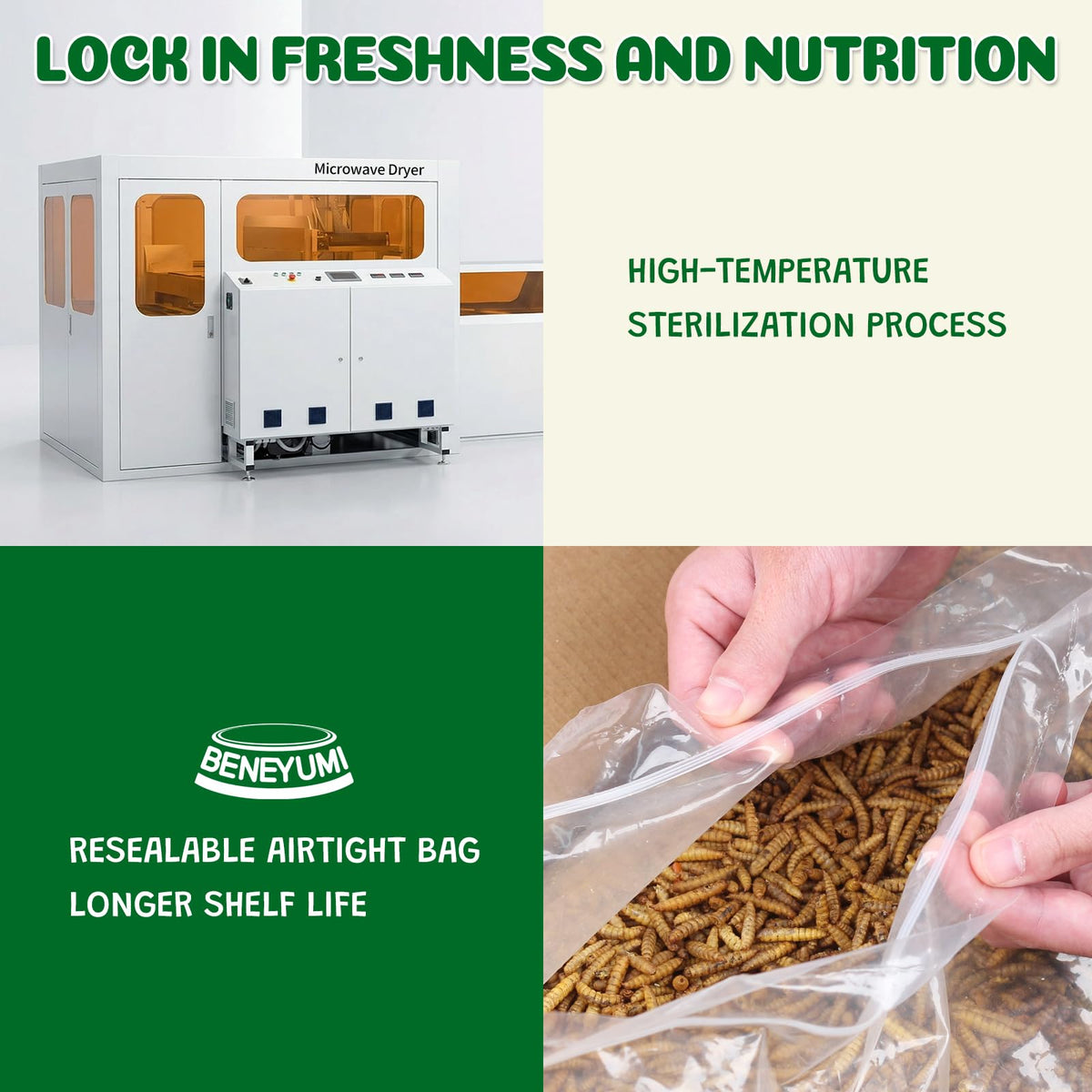 Reptile feeding scene featuring BENEYUMI larvae as a protein source