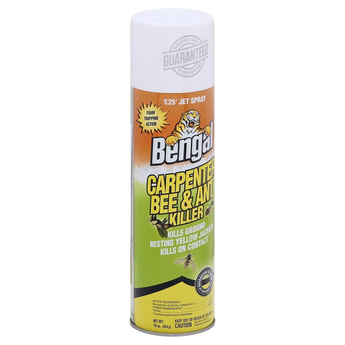 Bengal Carpenter Bee Killer spray action for quick pest knockdown.
