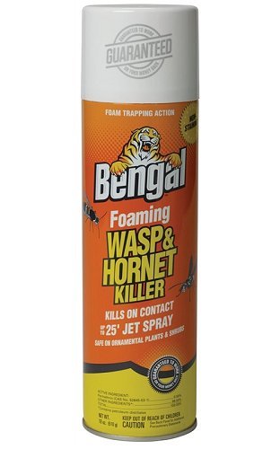 18-ounce Bengal spray kills on contact with foam action for exterior use