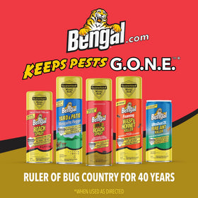 11-ounce Bengal Gold Roach Spray packaging ready for home use.