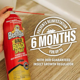 Bengal Gold Roach Spray used in cracks and crevices for hidden pests.