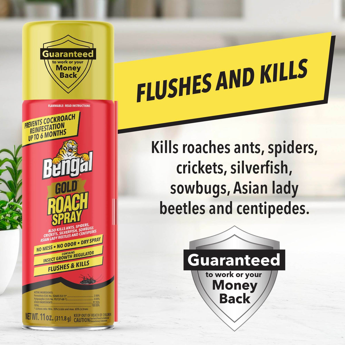 Bengal Gold Roach Spray Nylar active showing reinfestation prevention benefits.