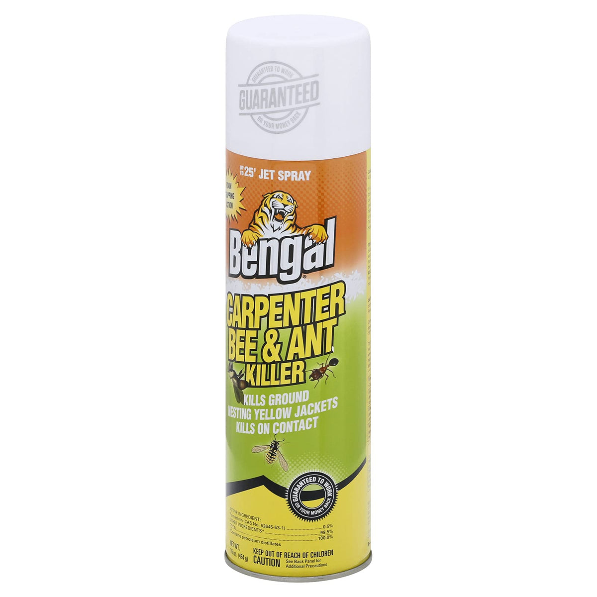 Bengal outdoor pest control supports wood protection on decks and fences.
