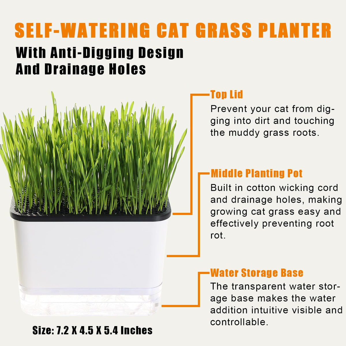 BENPIN cat grass planter with drainage holes supports root airflow and avoids soggy soil.