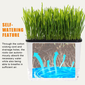 BENPIN cat grass planter shows seeds not included for simple, clear setup.