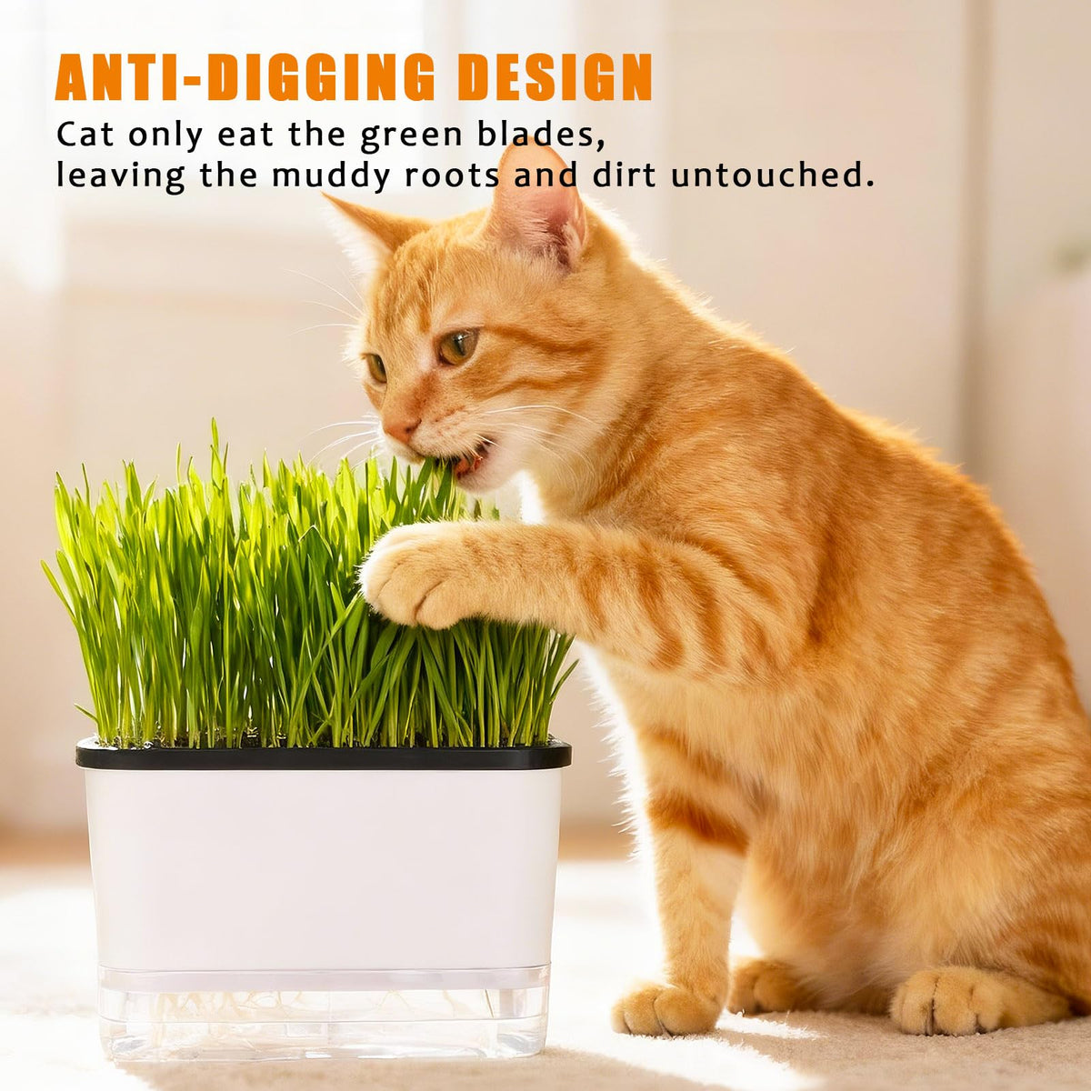BENPIN cat grass planter supports soil flexibility for potting soil, coco coir, or garden soil.