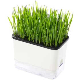 BENPIN self-watering cat grass planter shows easy water level monitoring for healthy growth.