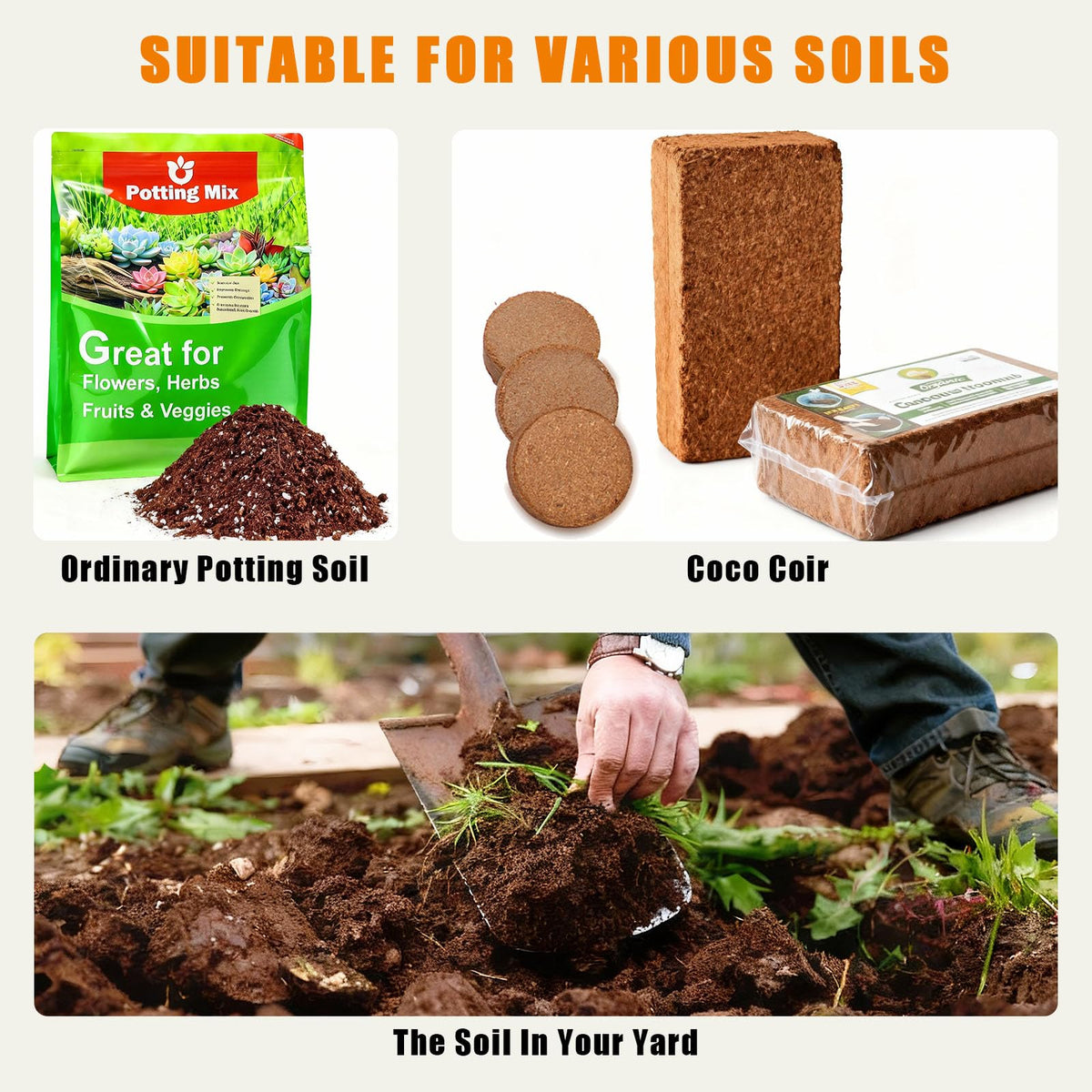 BENPIN self-watering planter with visible water level enables steady care routine.