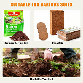 BENPIN self-watering planter with visible water level enables steady care routine.