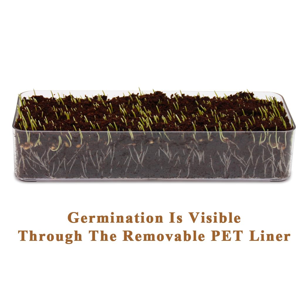 BENPIN planter in indoor setting demonstrates visible germination through transparent liner.