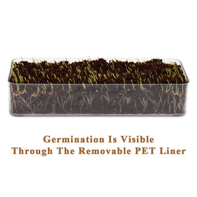 BENPIN planter in indoor setting demonstrates visible germination through transparent liner.