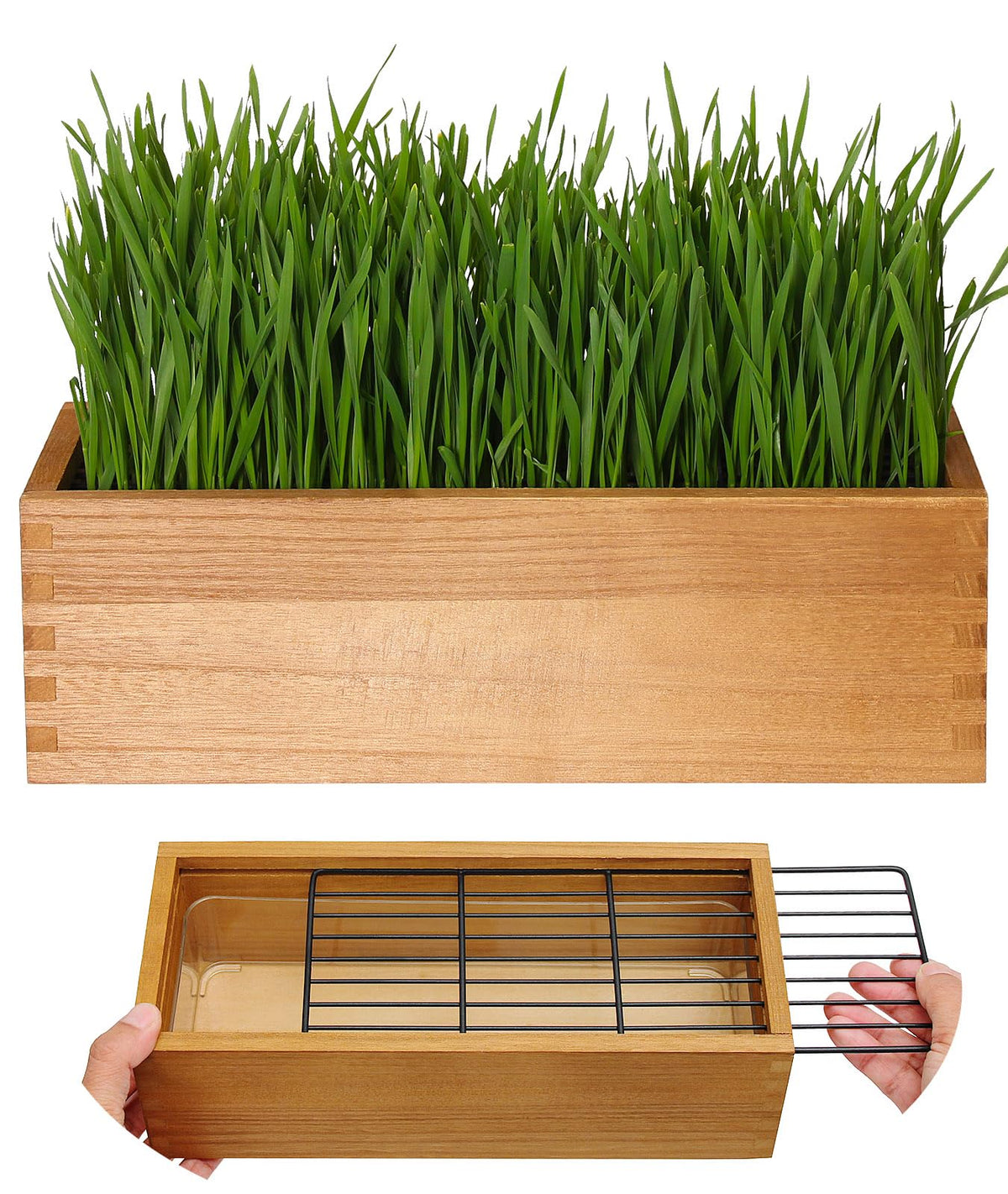 BENPIN wooden cat grass planter top view with anti-dig grid helps keep soil and floors clean.