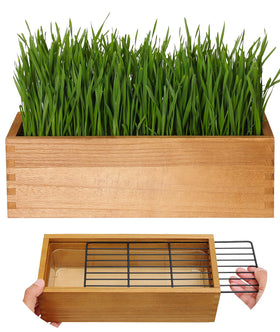 BENPIN wooden cat grass planter top view with anti-dig grid helps keep soil and floors clean.