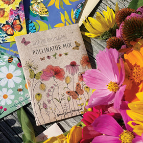 Bentley Pollinator Mix in flower bed demonstrates pollinator-friendly garden potential
