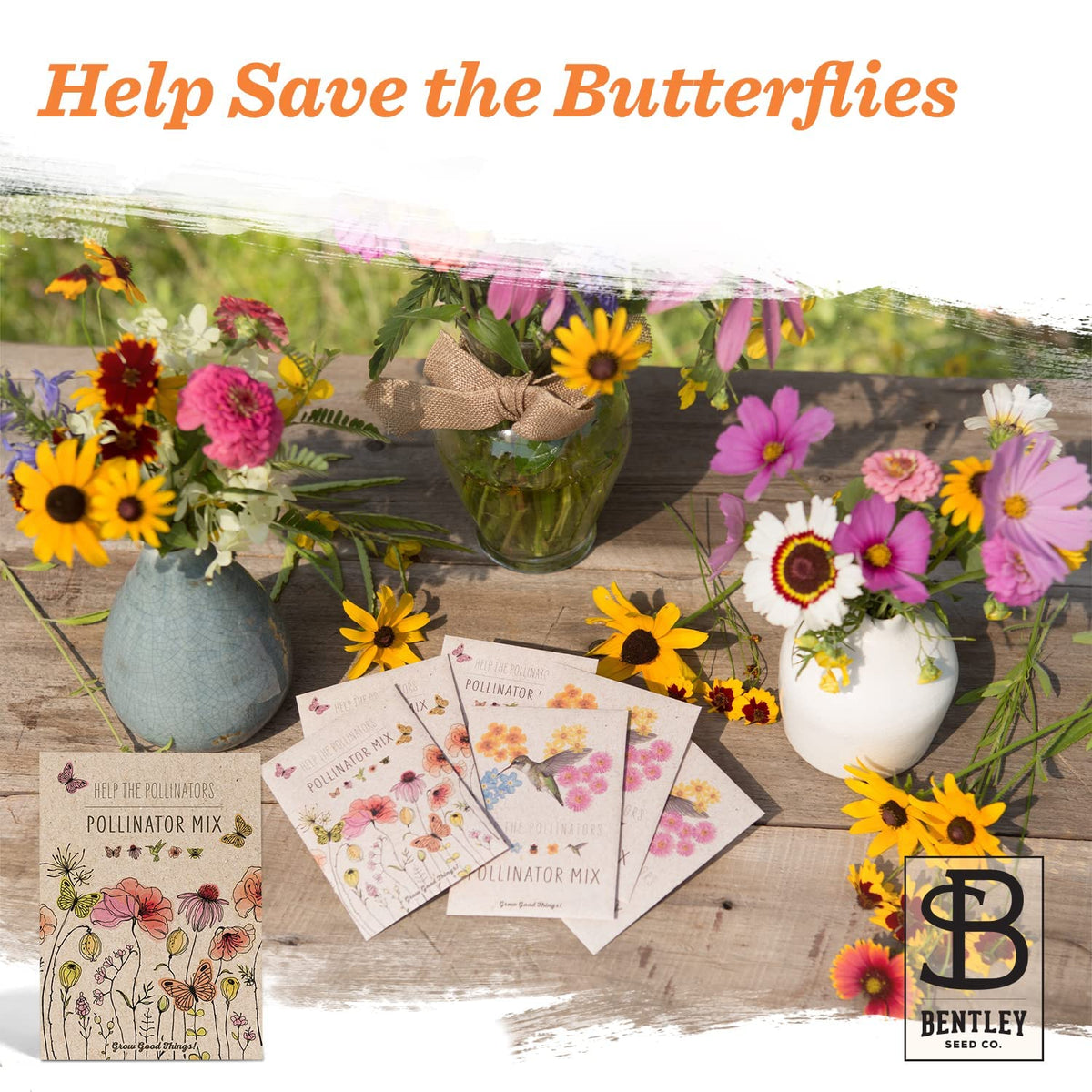 Bentley Pollinator Mix interior seeds ready for simple planting and care