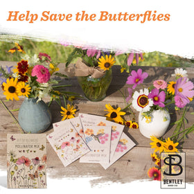 Bentley Pollinator Mix interior seeds ready for simple planting and care