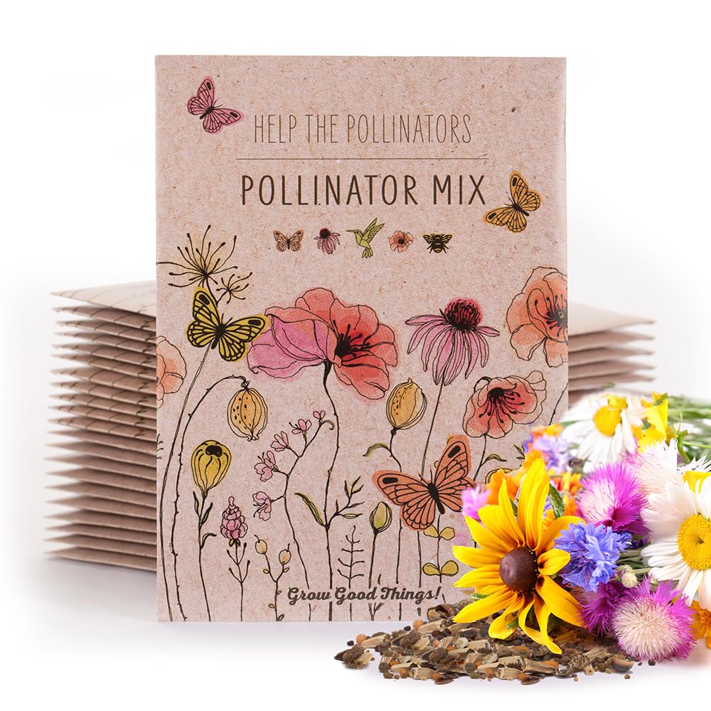 Bentley Pollinator Mix front of packet with seeds, ideal for easy sowing in butterfly gardens
