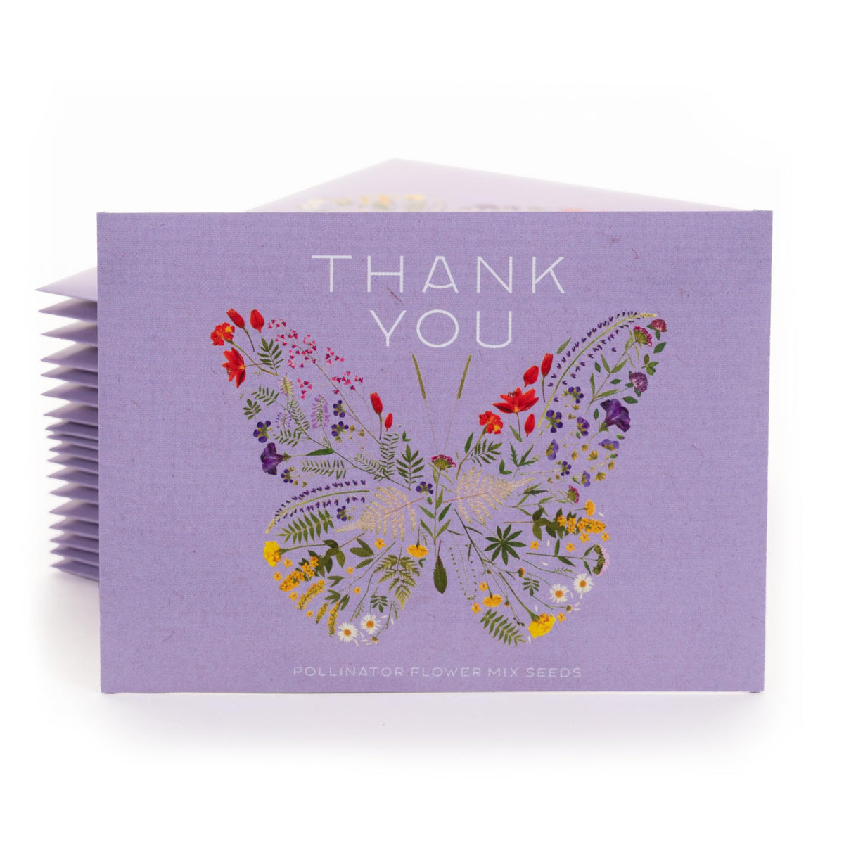 Bentley Seed Co butterfly pollinator mix pack back with contents guidance.