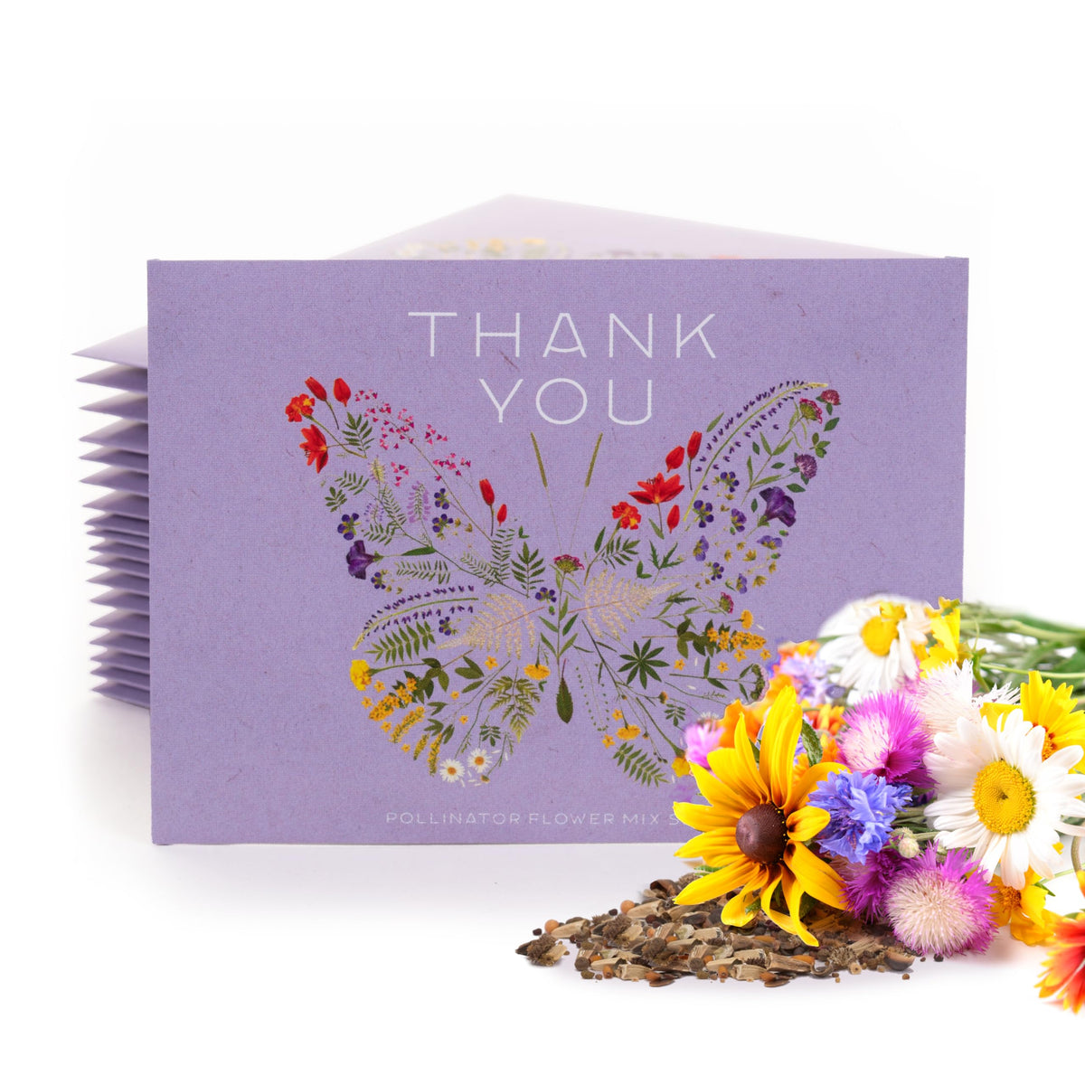 Bentley Seed Co butterfly pollinator mix pack front for a vibrant pollinator garden.