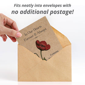 Bentley Seed Co easy-grow poppy seeds for a memory garden