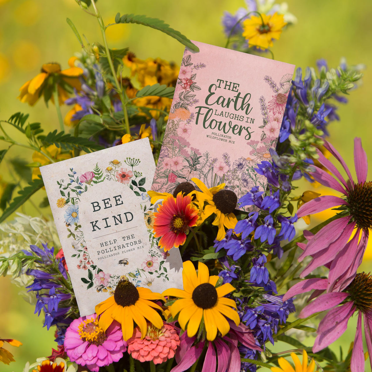 Bentley Seed Co. Pollinator-friendly blooms for vibrant gardens.