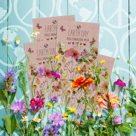 Bentley Seed Co Made in USA seed packets emphasize quality and origin