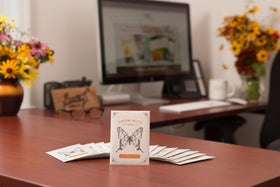 Bentley Seed Co assorted wildflowers encourage vibrant summer-to-fall color.