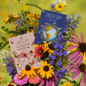 Bentley Seed Co non-GMO seed packets support responsible gardening efforts