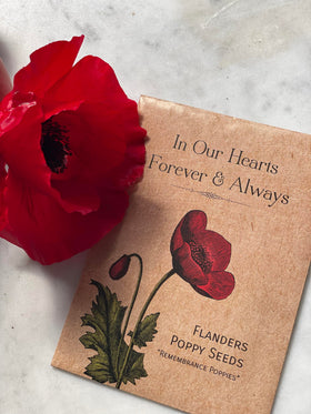 Bentley Seed Co pack of 25 seed packets for events and memorials