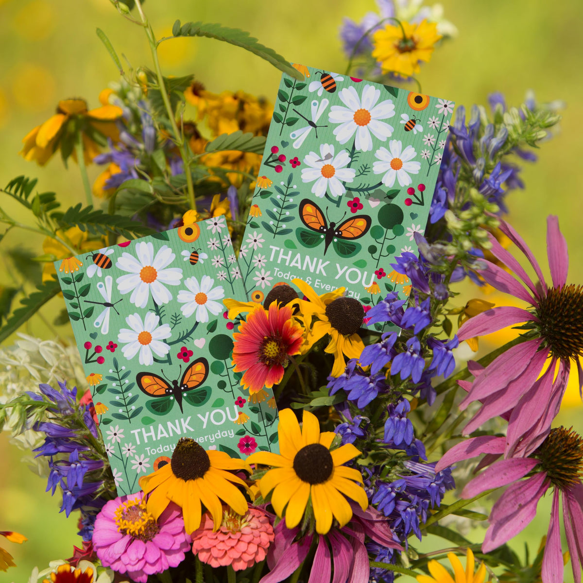 Bentley Seed Co. Thank You Packet mid-summer blooms showcased by pollinator-friendly wildflowers.