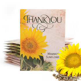Bentley Seed Co. Thank You Packet front view of sunflower seeds, a cheerful gift idea.