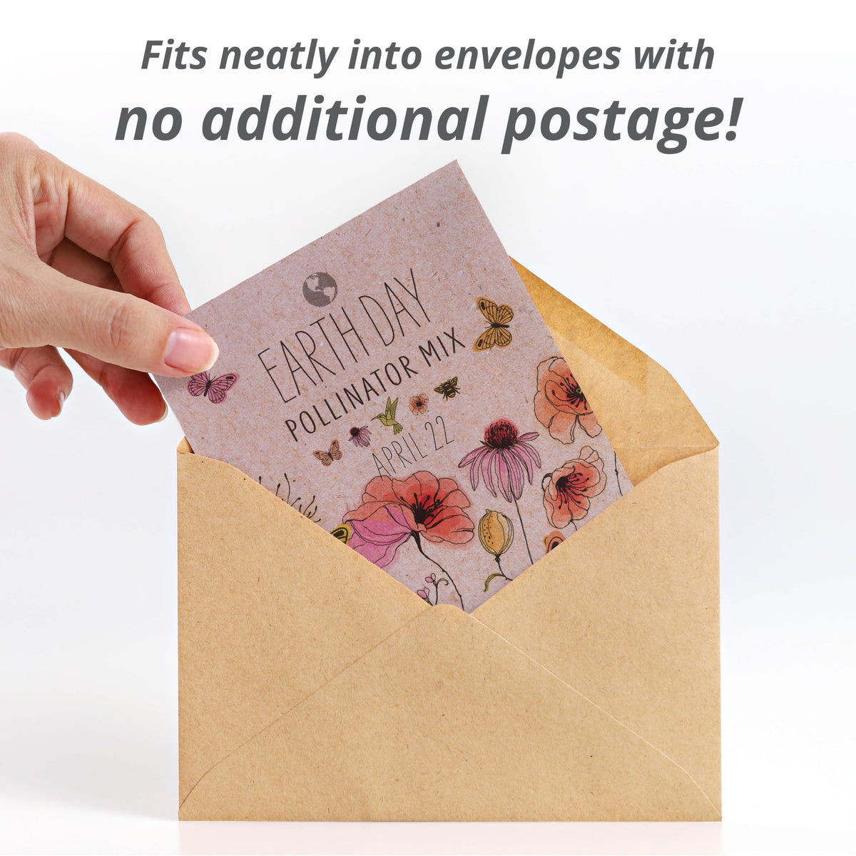 Bentley Seed Co wildflower seeds close-up reveals variety and texture