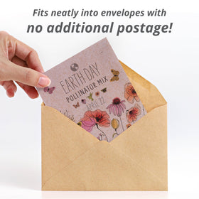 Bentley Seed Co wildflower seeds close-up reveals variety and texture