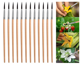 BENYRUAI pollinating brush with wood handle for large greenhouse pollination tasks