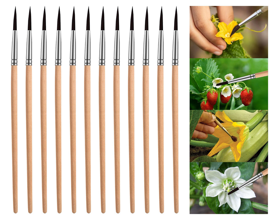 BENYRUAI pollinating brush with wood handle for large greenhouse pollination tasks